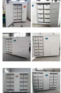 Machine automatique de germination de haricot mungo Luzerne Galic Orge Herbe Bovins Fourrage Vert Machine de culture de germination de haricot - Product Image 5