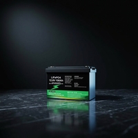 Batterie LiFePO4 à vente directe, modèle 12100, étanche IP68, boîtier ABS, stockage solaire domestique (6000 cycles) 12,8V/25,6V