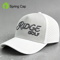Gorra de Béisbol Impermeable de 5 Paneles en Blanco y Gris para Hombre y Mujer, Gorra de Golf con Corte Láser, Gorras con Logotipo Bordado en 3D