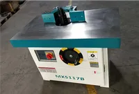 Meilleur prix Chine : Défonceuse verticale à broche pour le travail du bois Mx5117 à vendre