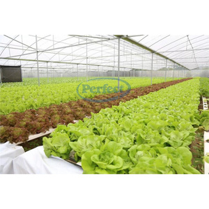 Hidroponik batu Mineral sistem budidaya wol, alat berkebun blok penumbuh bibit tanaman melembapkan - Product Image 5