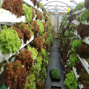 מתלה הידרופונית גדולה (סוג <span class=keywords><strong>pvc</strong></span> מגדל nft סוג) תואם למשאבת פירות וירקות משאבת מים - Product Image 2