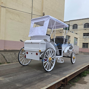 Calèche électrique personnalisable blanche de type Victoria, électrique/à chevaux, capacité de 6 personnes pour des excursions confortables - Product Image 4