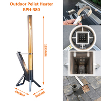 Chauffe-terrasse à granulés de bois sans fumée en acier inoxydable de haute qualité avec tube en verre, design moderne