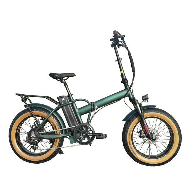 Folding Electric Bike 20" Fat Tire Aluminum Alloy Frame 7-Speed Disc Brake Rear Hub Motor 48V Lithium Green Energy Electronic