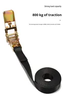 Sangles d'arrimage durables à cliquet 25 mm avec résistance à la rupture de 800 kg, certifiées CE, pour le contrôle du fret