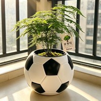 Pot de fleurs intelligent en forme de ballon de football créatif, auto-arrosant, pour la décoration de bureau et de maison