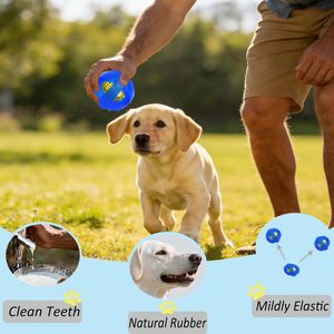 2026 New Product Direct Supply Custom Low Price <b>Interactive</b> Luxury Dog <b>Toys</b> Rubber <b>Toy</b> - Product Image 5