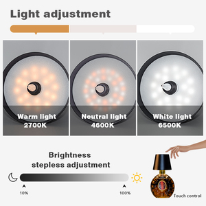 <span class=keywords><strong>2025</strong></span> New 3 Màu Sắc Có Thể Sạc Lại Chai Rượu Vang Bảng Lights Đối Wedding Party Thanh Nhà Hàng Không Dây Chai Đèn - Product Image 5