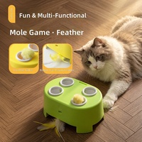 Jouet pour chat Douyin 3-en-1 en forme de maison à fromage – Jouet pour animaux de compagnie en plastique durable, résistant aux griffures et aux morsures, anti-stress