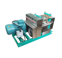 Machine à jus de canne à sucre, broyeur de canne à sucre, extracteur de jus de canne à sucre efficace, moteur pour restaurant, usage agricole, 4 kW, 220/380 V