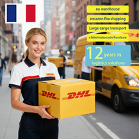 Agent maritime DDP Europe Chine pour la logistique de fret de batteries de scooters électriques et de motos, transitaire, transit en 45-50 jours