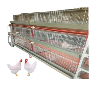 3 Tiers 4 Tiers H Type Modern Design Broiler Poultry Farm Automatic Chicken Broilers Cage System