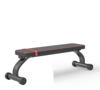 Banc de musculation plat pour la maison, capacité de charge lourde de 300 kg, cadre en acier stable, banc d'entraînement avec haltères, entraînement musculaire complet du corps