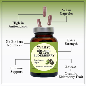 Capsules d'extrait de sureau de haute qualité, marque privée, pour stimuler l'immunité, favoriser la santé osseuse et offrir un soutien antioxydant. - Product Image 2