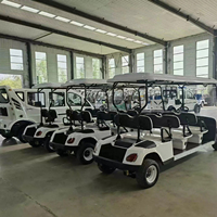 Voiturette de golf électrique tout-terrain homologuée pour la route, 4 places, batterie au lithium sans entretien, batterie au plomb-acide, buggy de golf