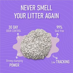Bentonite Cat Litter China Supplier OEM Dust Free Strong Clumping <b>Clay</b> Lavender Scent Cat Sand Premium - Product Image 4