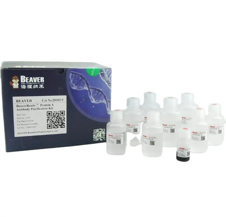 BeaverBeads Protein A for protein antibody purification kit