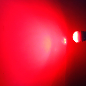 Alto brillo <span class=keywords><strong>T10</strong></span> cerámica 3 SMD 2835 W5w 194 168 9,5mm luces de liquidación de maletero lámparas de lectura accesorios de coche blanco - Product Image 4