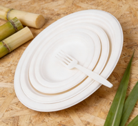 Sac en fibre de bagasse de canne à sucre biodégradable Eco Earth, 100 % écologique, personnalisable, jetable, vente en gros pour usines