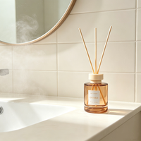Diffuseur à bâtonnets en rotin, désodorisant d'intérieur, bouteille en verre coloré, parfum longue durée pour la décoration intérieure
