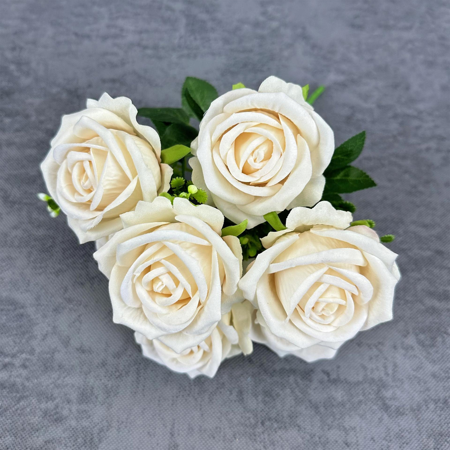 Round Rose - Champagne