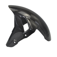 Garde-boue avant brillant en fibre de carbone sèche 3K pour S1000RR/M1000RR 2019-2025