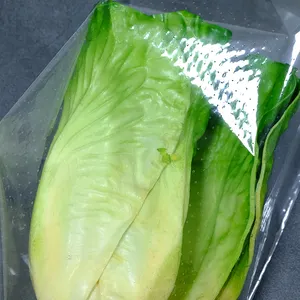 Plastik ambalaj selofan mikro delikli sebze çantası özelleştirilmiş baskı kendinden yapışkanlı çanta