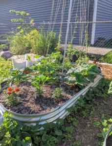 Fabricant chinois de jardinières en métal galvanisé surélevées pour légumes et fleurs - Product Image 6