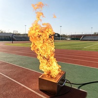 Dispositif de simulation de flamme à gaz en acier inoxydable avec allumage à distance pour la formation pratique aux extincteurs dans les écoles et les usines