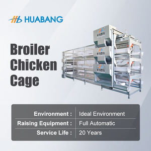 Système de <span class=keywords><strong>cage</strong></span> automatique pour poulets de chair <span class=keywords><strong>Cage</strong></span> à caille pour poulailler Alimentation automatique et consommation de tétines - Product Image 4