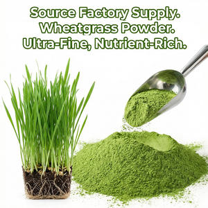 व्हीटग्रास पाउडर हर्बल अर्क पानी में घुलनशील क्लोरोफिल सुपरऑक्साइड डिम्यूज़ आहार फाइबर भोजन सौंदर्य पोषण पूरक - Product Image 1