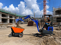 Consegna Rapida 2026 Economico Trasportatore Elettrico Piccolo 500Kg 4x4 Minidumper Motorizzato Carriola Elettrica