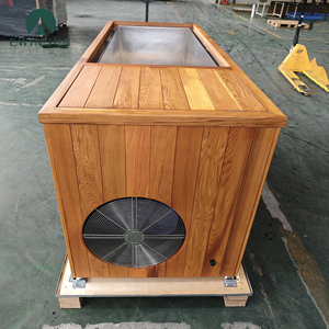 Récupération des athlètes professionnels Baignoire à glace en acier inoxydable Cadre industriel en cèdre rouge naturel pour salle de sport d'hôtel Physique intérieur - Product Image 2