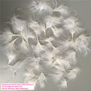 <span class=keywords><strong>Marabou</strong></span> suelto 3-4 "Plumas de pavo blanco Plumas de pluma de sangre de marabú para atar moscas - Product Image 2