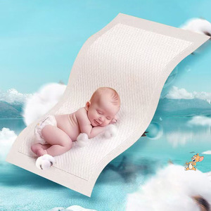Haishi Hainuo Medical <b>Nursing</b> <b>Pads</b>, Infant and Maternity <b>Pads</b>, Waterproof Medical Sheets - Product Image 1