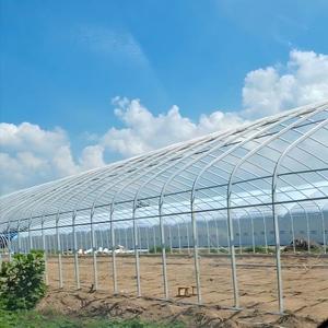 Invernadero Agrícola de Doble Capa y Gran Tamaño para Zonas Rurales, con Techo Inflable y Ventilación Superior, Material PE Tipo Diente de Sierra, Suministrado desde China - Product Image 1
