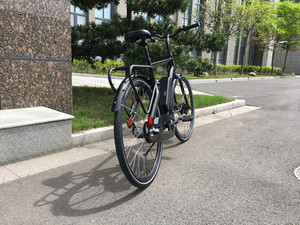 Cadre en aluminium 6061 de type européen pour vélo adulte EB 5015E - Product Image 3