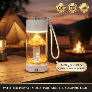 Lanterne <span class=keywords><strong>de</strong></span> camping LED créative à moule privé, scène intérieure personnalisée, contrôle tactile ABS, intensité réglable, batterie rechargeable 1200 mAh - Product Image 1