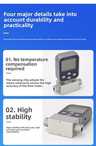 カスタマイズ可能なデジタル熱質量マイクロ流量計（空気用）高精度（±0.5％）省スペースねじ接続OEM対応 - Product Image 6