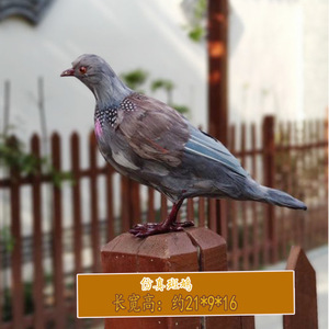 Pájaro de plumas realista hecho a mano, tamaño natural, decoración de pájaro artificial para interiores, estante de pared. - Product Image 3