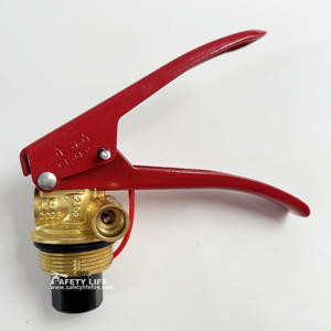 วาล์วนิรภัยสำหรับดับเพลิงชนิดผงแห้ง<span class=keywords><strong>6</strong></span>กก. หรือ12กก. วาล์วหัวดับเพลิงเคมีแห้ง - Product Image 1