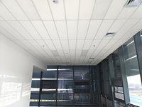 Panneau acoustique en laine de roche insonorisant moderne, ignifuge, pour plafond suspendu d'hôtel et de salle de conférence, tuile de plafond suspendu 2x2