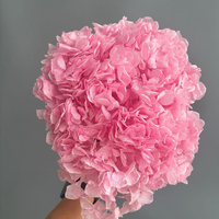 Hortensia séché préservé pour mariage, tige unique, grande feuille, dégradé naturel, fleur éternelle, décoration intérieure, bricolage floral