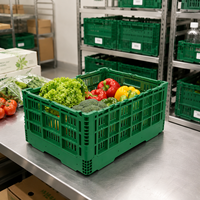 Caisse à légumes pliable en plastique, légère, pour le stockage des fruits et légumes, pour l'agriculture et la vente en marché