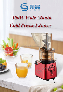 500W mode cuisine commerciale 120*150mm grande bouche presse à froid ananas lent presse-agrumes Machine avec arbre en plastique PC pour café - Product Image 6