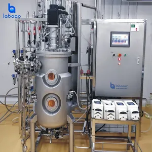 拉博顶磁力混合不锈钢生物反应器用于微生物发酵