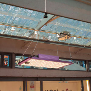 Полный спектр солнечного квантового света с регулируемым балластом 320W PPE 2,7 Umol/J IP65 равномерный полный спектр светодиодного света для роста - Product Image 3