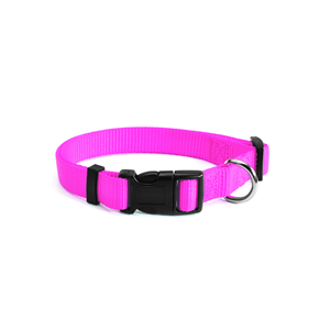 Collare Regolabile da 15MM con Chiusura Rapida Fucsia - Product Image 1
