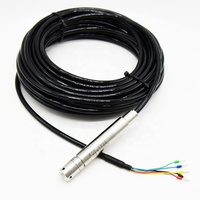 Sonde de niveau d'eau piézométrique submersible ultra-mince 19 mm, haute précision 0,25 % FS, IP68 pour la surveillance des eaux souterraines en forage